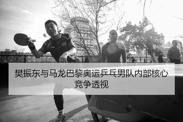 樊振东与马龙巴黎奥运乒乓男队内部核心竞争透视